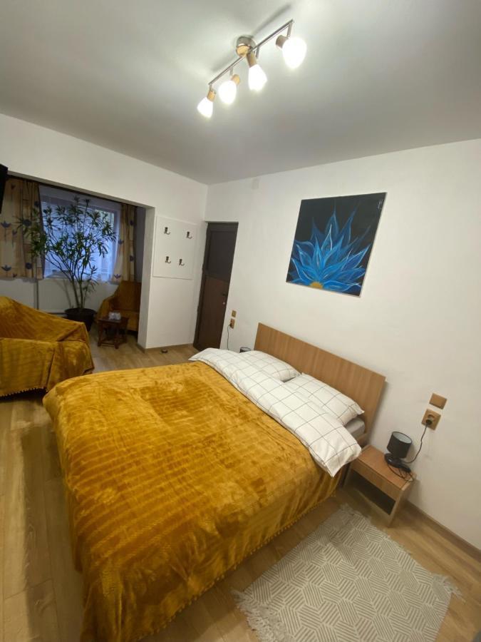 Casa Felice Hotel Brasov Exterior photo
